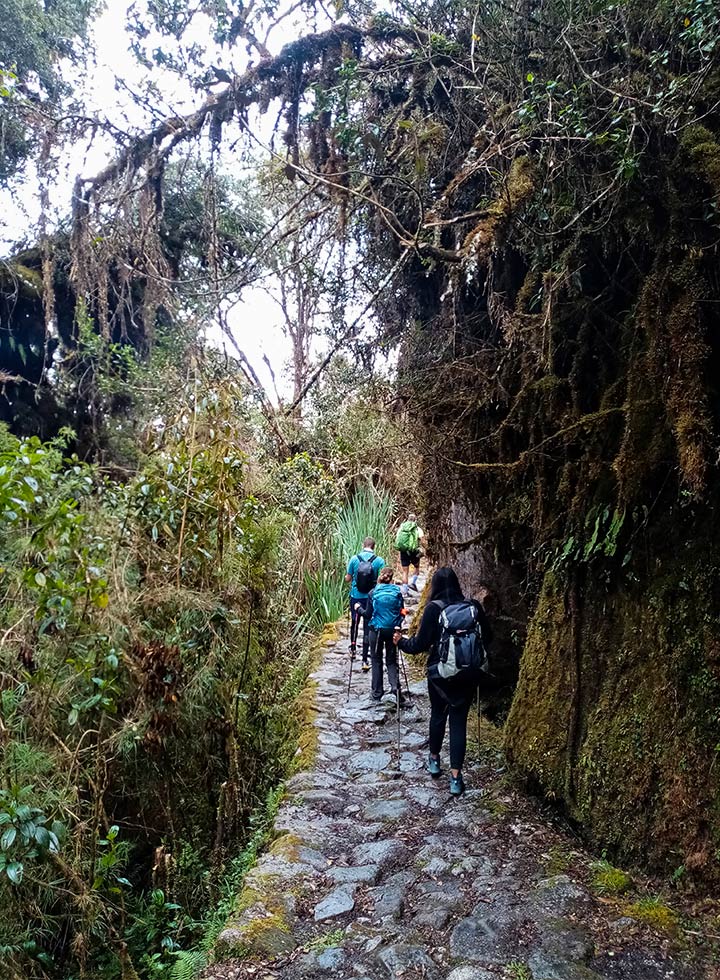Short Inca Trail to Machu Picchu Hike
