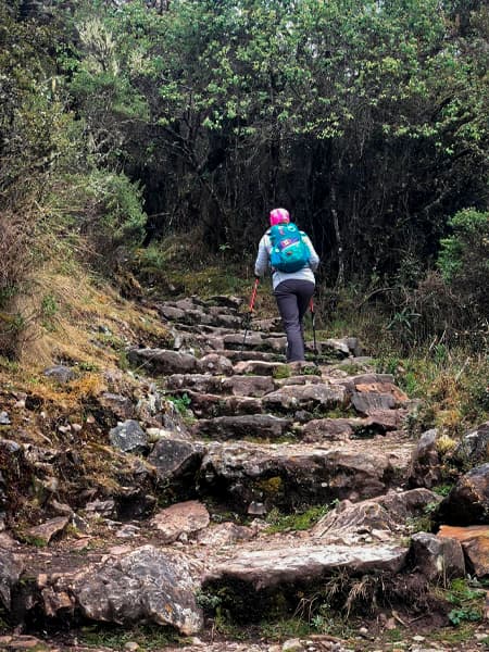Walking through Inca Trail
