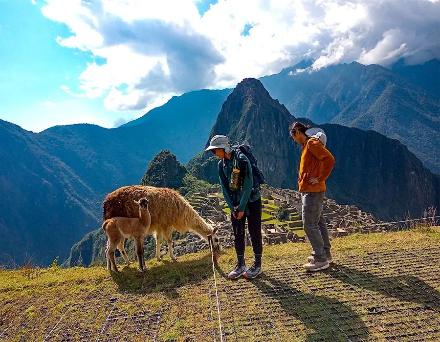 Machu Picchu