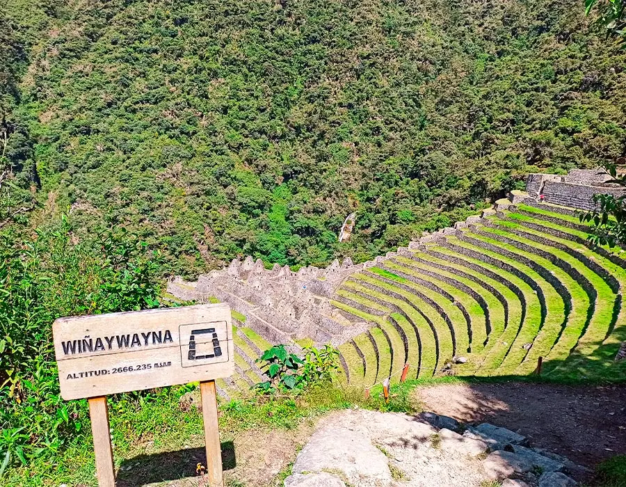 wiñay huayna machu picchu